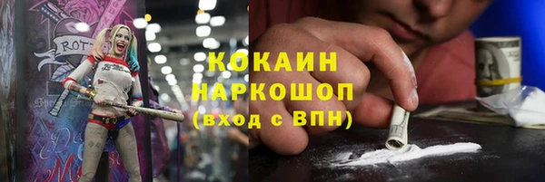 молекула духа Сосновка
