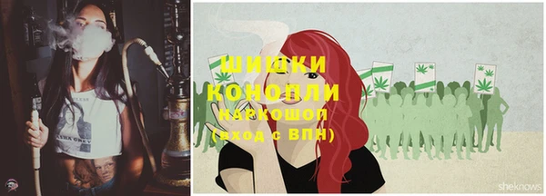 прущие грибы Слюдянка