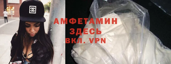 прущие грибы Слюдянка