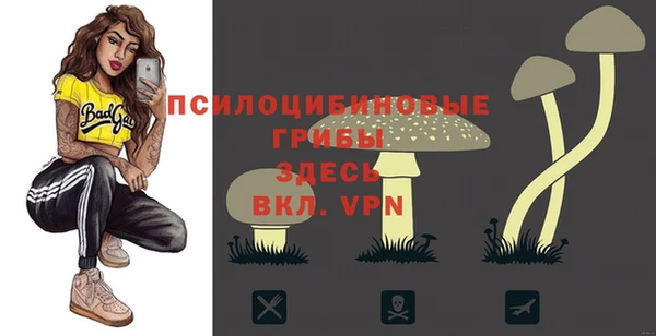 крисы Снежинск