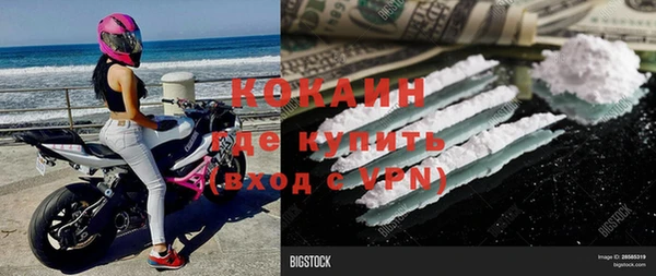 прущие грибы Слюдянка