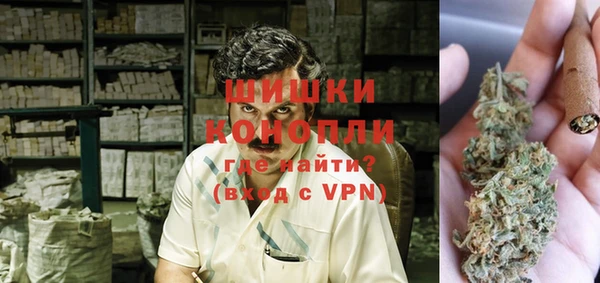 молекула духа Сосновка