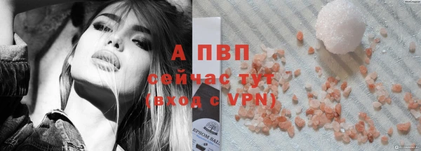 молекула духа Сосновка